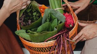 海岛菜篮子拎得更轻松了