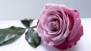 巧用“后光效应”