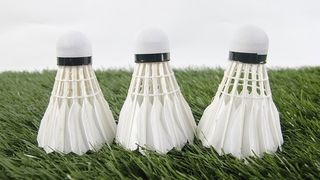 国羽未来任重道远