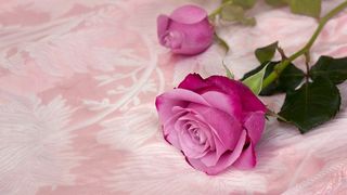 孙子接受祖父母房屋赠与后逼迫老人搬离