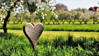 棒棒哒!8岁小男孩“征服”石家庄马拉松健康跑