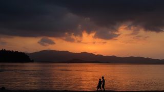 脱缰马匹“出走” 民警雪夜寻回