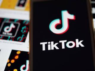 TikTok创作者集体起诉美国政府违宪，涉及牧场主等博主