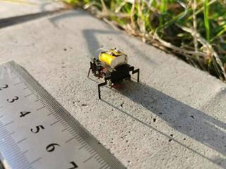 北航科研团队实现技术突破，2厘米大“昆虫”机器人助力灾后救援