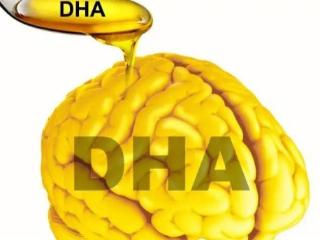 DHA的补充误区你踩过吗？正解来了！