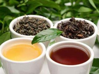 夏季喝什么茶能减肥 10款刮油茶轻松瘦