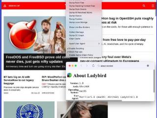 GitHub 联合创始人掌舵，Ladybird 开源浏览器发布：不用友商代码
