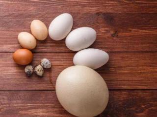 哪种蛋更有营养？医生：3种蛋尽量少吃