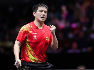 乒乓球奥运会：8月1日赛程揭晓，国乒对决张本智和，争霸男单四强