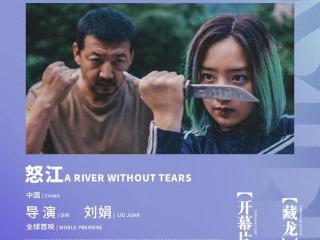 《怒江》为第八届平遥国际电影展开幕片，王砚辉、邓恩熙主演