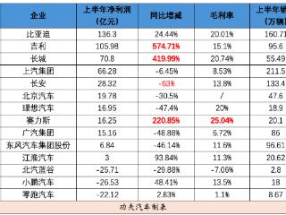 车企半年财报透视：一半在偷着乐，一半在偷着哭