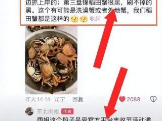 2400万粉丝网红“东北雨姐”被曝视频造假！白天抓稻田蟹，网友质疑多个细节