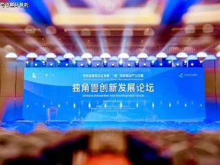 星环聚能作为企业代表受邀出席“2024浦江创新论坛——独角兽创新发展论坛”