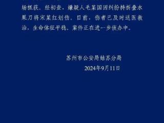 苏州警方通报“男子持刀伤人”案件，事发时附近卤菜店店长用铁勺将其击退