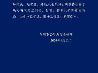 苏州持勺斗嫌犯退伍兵拟被认定见义勇为，全网寻找的碎花裙美女能被认定吗？专家解读