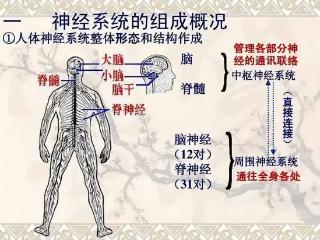 如果一个人身体死了但大脑活在营养液中，算不算活在虚拟世界？