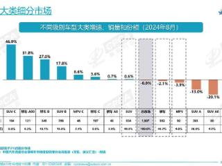 中大型车销量榜！小米SU7排名第二