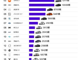 8月中大型车排名，专业视角解析品牌近期动向