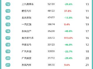 8月乘用车市场Top30：赛力斯持续增长 上汽通用跌至榜尾