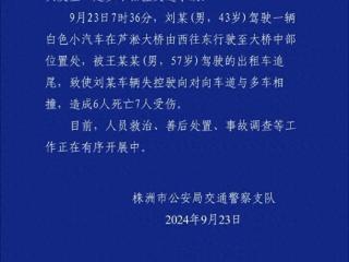 株洲芦淞大桥6死7伤事故视频：网约车遭追尾疑失控；肇事车本月9日刚获得运输证；极狐客服：正调查原因