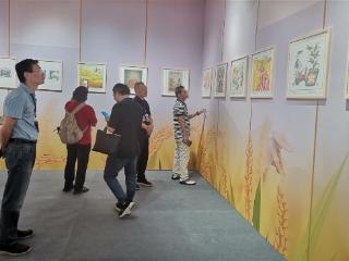 “世界稻都·漫画安江”全国漫画大赛优秀作品展，湖北作品“出风头”