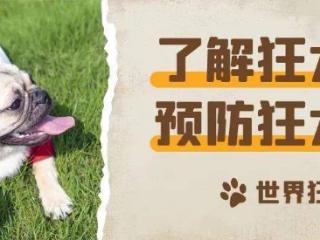 被哪些动物咬了，需要打狂犬疫苗？暴露后第一时间应该……