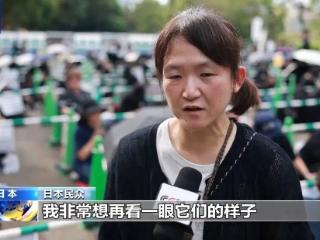 旅日大熊猫“比力”“仙女”将回国，日本民众排队5小时送别