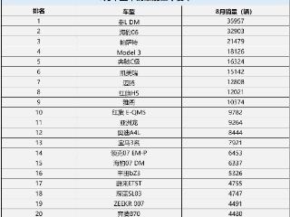 8月中型轿车销量排名变化大 海豹06逆袭 凯美瑞第六 德系依然能打