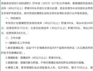 宁夏一地召集“赏金猎人”，每抓住一只补偿2400元！一年多前还是国家保护动物