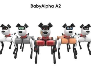 国内首款多模态AI交互四足机器人BabyAlpha A2发布，售价不到万元