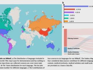 迈向多语言医疗大模型:大规模预训练语料,开源模型与全面基准测试