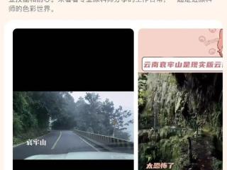 博主独闯哀牢山“被大量凶兽盯上”？当事人回应：是树根