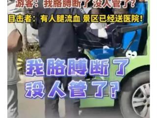 河南一景区两观光车相撞，游客大喊: 我胳膊断了！