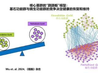 科学家破解人体肠道菌群结构密码登上《细胞》，将为疾病治疗带来颠覆性突破