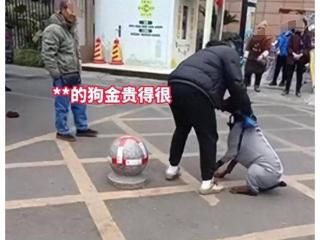 “狗比你金贵”女子遛大型犬吓到路人，警方介入，狗主人发声