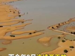 撒哈拉沙漠下暴雨，雨量之大数十年来少见！部分地区发洪水，已造成20多人死亡