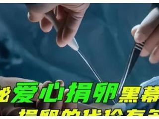 “高薪兼职”捐卵骗局：12天赚5万，到头来连救命钱都不够！