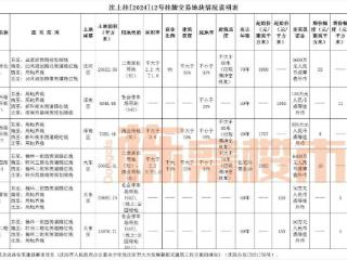 望花“更名”大东新城？就因为这宗地块亮相！