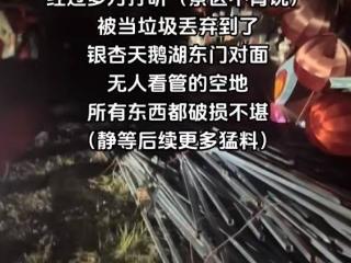 投资数百万的“美杜莎之夜”花灯被强拆丢弃？