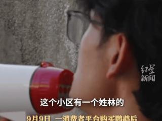 顾客退网购鹦鹉却寄回空桶，商家跨省追讨！