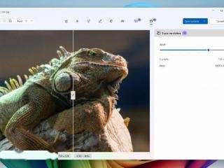 微软邀测 Win11 照片应用超分功能，原图可清晰放大 8 倍