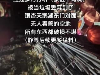 投资数百万的“美杜莎之夜”花灯被强拆丢弃？嘉兴一景区声明：恶意抹黑