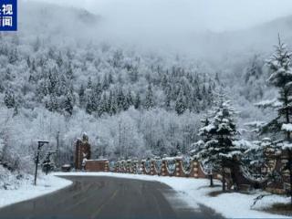 秒变童话世界！霜降节气中国雪乡迎来今秋首场降雪