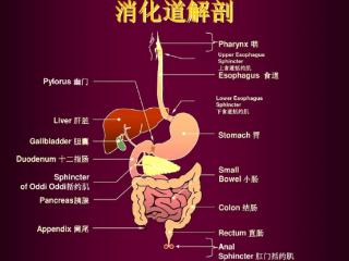 胃不好的人，尽量少吃这2种“伤胃”食物，建议转给家里人