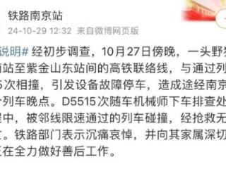 野猪频上热搜背后：致害已达26个省份，多地开展猎捕调控