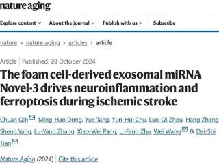 同济医院研究团队揭示外泌体miRNA Novel3在缺血性脑损伤中的关键作用