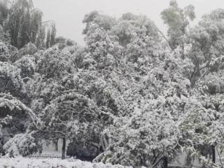 今年是冷冬，还是暖冬？拉尼娜重返地球，预警：注意强降温、降雪