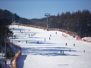 游客少、气温高 韩国滑雪旅游业面临困境