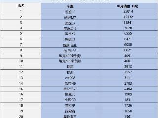 10月中大型SUV销量榜单变天了 仅三款销量过万 零跑C16第四