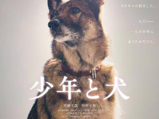 《少年与犬》首曝预告 高桥文哉主演直木奖作品